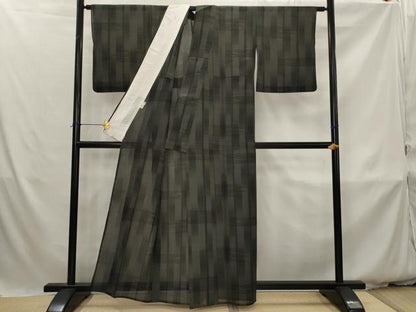 平和屋着物＊夏物　本塩沢　夏塩沢　110亀甲　変わり間道　黒地　正絹　逸品　AABK3010st