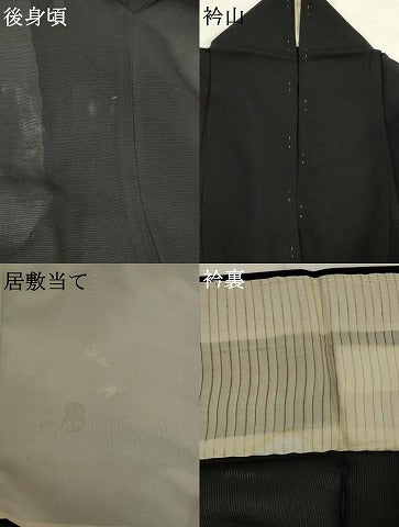 平和屋着物＊夏物　訪問着　絽　勝虫　黒地　金銀彩　正絹　逸品　AABK3012st