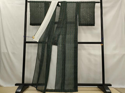 平和屋着物＊夏物　小紋　紗紬　麻の葉文様　正絹　逸品　AABK3017st