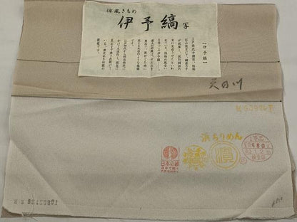 平和屋着物＊夏物　江戸小紋　伊予縞紋紗　反端付き　正絹　逸品　AABK3023st