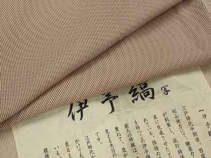 平和屋着物＊夏物　江戸小紋　伊予縞紋紗　反端付き　正絹　逸品　AABK3023st