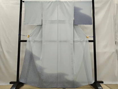 平和屋着物＊夏物　訪問着　絽縮緬　霞文　暈し染め　正絹　逸品　未使用　AABK3035st
