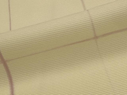 平和屋着物＊夏物　小紋　絽　変わり格子　正絹　逸品　AABK3036st