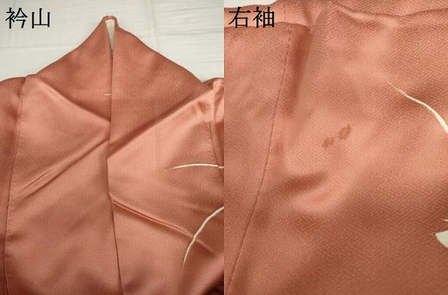 平和屋着物●訪問着　花蝶文　金彩　正絹　逸品　AABK3403cs