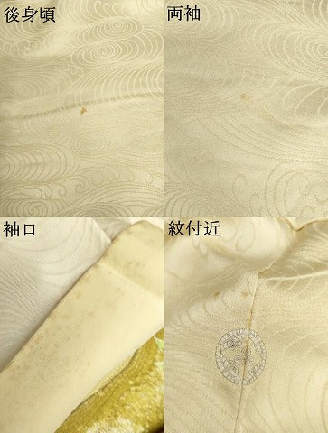 平和屋着物●訪問着　手描き　藤花房　暈し染め　金彩　正絹　逸品　AABK3422cs