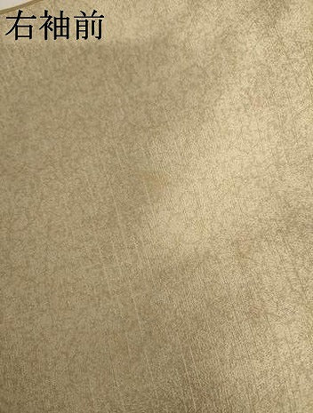 平和屋着物●訪問着　扇面草花文　暈し染め　金銀彩　正絹　逸品　AABK3450cs