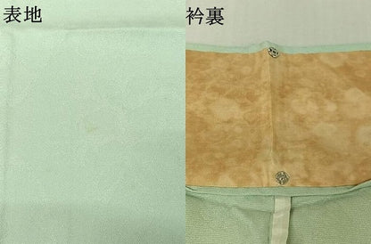 平和屋着物▽上質な色無地　単衣　草花文　白緑色　銀通し地　正絹　逸品　AABK3592jh