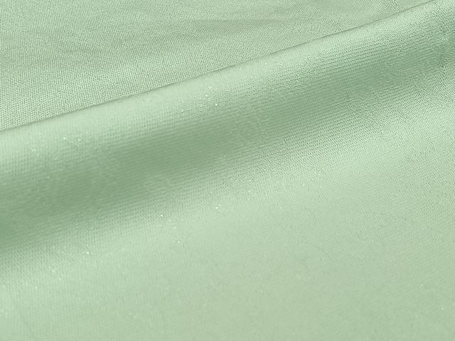 平和屋着物▽上質な色無地　単衣　草花文　白緑色　銀通し地　正絹　逸品　AABK3592jh