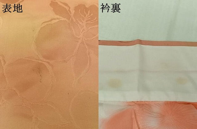 平和屋着物▽上質な小紋　単衣　草花文　暈し染め　正絹　逸品　AABK3660jh
