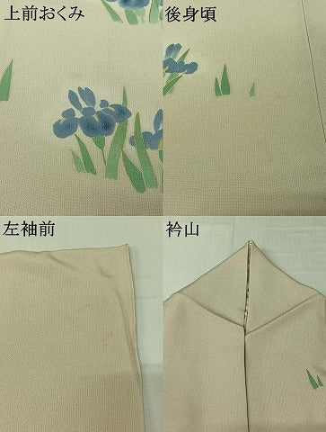 平和屋着物▽訪問着　単衣　手描き　燕子花　金彩　正絹　逸品　AABK3698jh