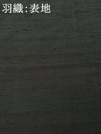 平和屋着物●男性　紬　アンサンブル　単衣　霞文　正絹　逸品　AABK3821jh