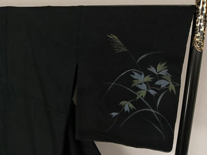 平和屋着物▽訪問着　無双　紗袷　紗×紗　手描き　薄　黒地　金彩　正絹　逸品　AABK3873jh