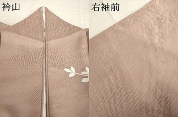 平和屋着物●訪問着　蔓帯花文　暈し染め　金彩　正絹　逸品　AABK3893ck
