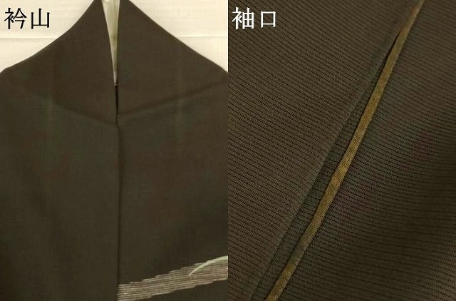 平和屋着物＊夏物　訪問着　絽　草花文　黒地　銀糸　正絹　逸品　AABK3962jd
