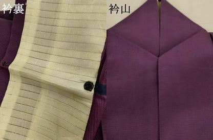 平和屋着物＊夏物　色無地　絽　滅紫色　正絹　逸品　AABK3985jd