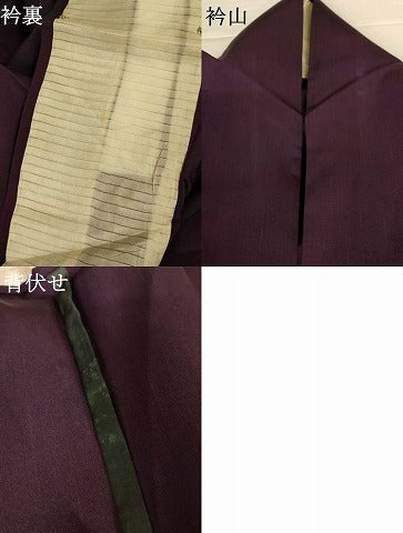 平和屋着物＊夏物　色無地　舞葉紋紗　黒鳶色　正絹　逸品　AABK3998jd