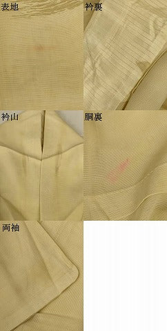 平和屋着物＊夏物　訪問着　絽　手描き　草花文　正絹　逸品　AABK4067jd