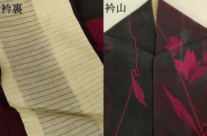 平和屋着物＊夏物　小紋　紗　草花文　黒地　正絹　逸品　AABK4070jd