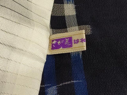 平和屋着物＊夏物　本場琉球絣　夏琉球　さが美扱い　ロング丈　正絹　逸品　AABK4084jd