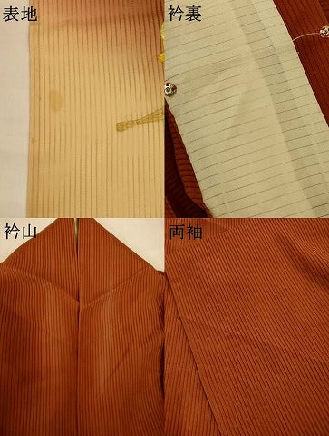 平和屋着物＊夏物　色留袖　縦絽　立波扇文　暈し染め　金彩　ロング丈　正絹　逸品　AABK4094jd