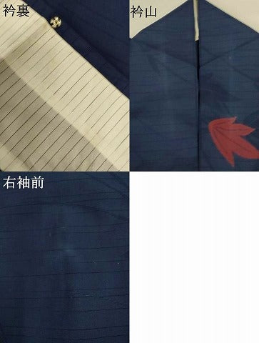 平和屋着物＊夏物　小紋　草葉紋紗　正絹　逸品　AABK4150jd