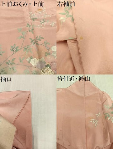 平和屋着物●訪問着　友禅　草花文　暈し染め　金銀彩　正絹　逸品　AABK4339ph
