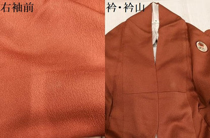 平和屋着物●訪問着　刺繍　草花丸文　暈し染め　金糸　正絹　逸品　AABK4354ph