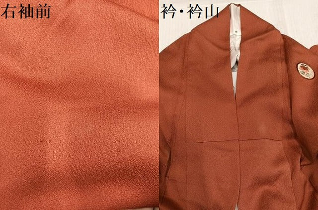 平和屋着物●訪問着　刺繍　草花丸文　暈し染め　金糸　正絹　逸品　AABK4354ph