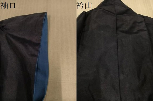 平和屋着物●本場縞大島紬　訪問着　総刺繍　草花文　金彩　ますいわ屋扱い　正絹　逸品　AABK4356ph