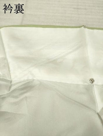 平和屋着物●訪問着　螺鈿　枝花文　暈し染め　金銀彩　正絹　逸品　AABK4453ck
