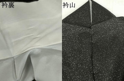 平和屋着物●本場大島紬　染大島　訪問着　総刺繍　舞葉文　黒地　銀彩　金糸　ますいわ屋扱い　正絹　逸品　AABK4594cs
