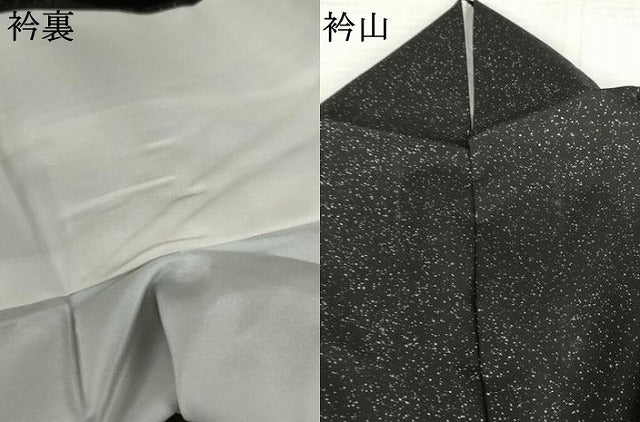 平和屋着物●本場大島紬　染大島　訪問着　総刺繍　舞葉文　黒地　銀彩　金糸　ますいわ屋扱い　正絹　逸品　AABK4594cs