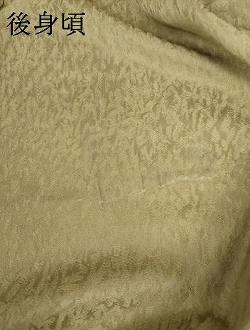平和屋着物▽林淳一　訪問着　単衣　刺繍　雪輪文　暈し染め　金彩　金糸　正絹　逸品　AABK4620cs