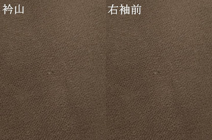 平和屋着物●訪問着　枝花文　金彩　鬼しぼ縮緬　正絹　逸品　AABK4626cs
