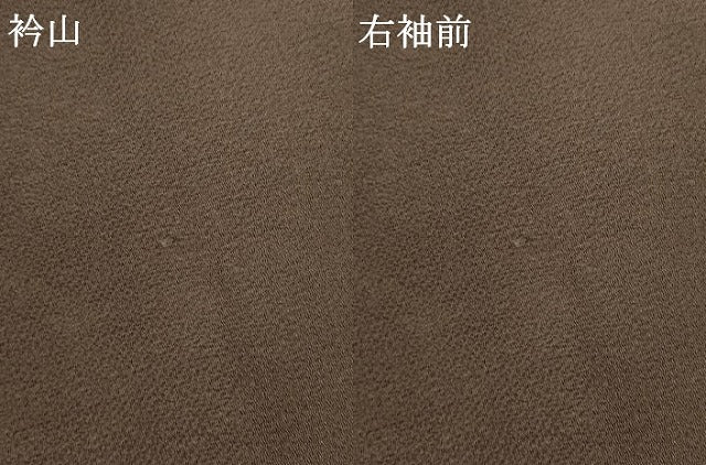 平和屋着物●訪問着　枝花文　金彩　鬼しぼ縮緬　正絹　逸品　AABK4626cs