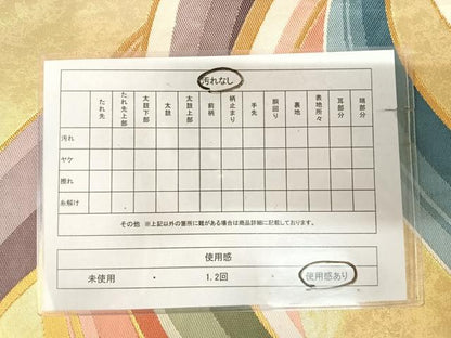 平和屋着物◎六通柄袋帯　唐織　和歌之浦　引箔　金糸　正絹　逸品　AABK4746yx