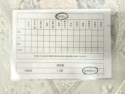 平和屋着物◎六通柄袋帯　唐織　花鳥丸文　銀糸　正絹　逸品　AABK4844yx
