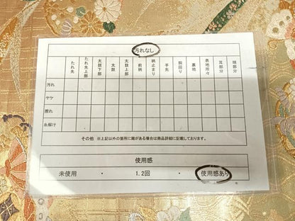 平和屋着物◎六通柄袋帯　唐織　雪輪花蝶宝尽くし　金銀糸　正絹　逸品　AABK5014yx