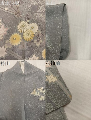平和屋着物●訪問着　枝花文　金彩　高島屋扱い　正絹　逸品　AABK5219ph