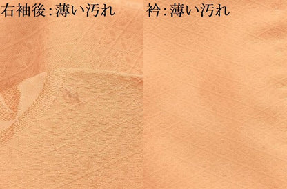 平和屋着物■上質な小紋　花丸文　正絹　逸品　AABK5641sx