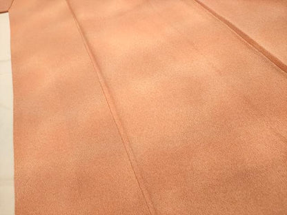 平和屋着物■上質な小紋　霞文　暈し染め　鬼しぼ縮緬　正絹　逸品　AABK5653sx