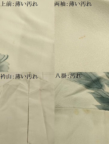 平和屋着物■訪問着　手描き　枝花文　正絹　逸品　AABK5695sx