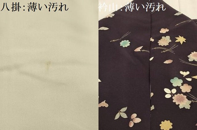 平和屋着物■上質な小紋　吹き寄せ文　金彩　鬼しぼ縮緬　正絹　逸品　AABK5729sx