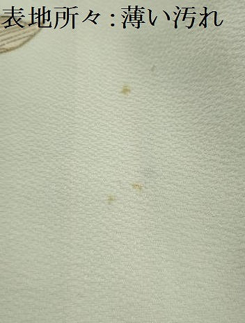平和屋着物■訪問着　草花文　暈し染め　金彩　洗える着物　AABK5811sx