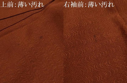 平和屋着物■豪華色留袖　霞取り花文　金銀彩　正絹　逸品　AABK5837sx