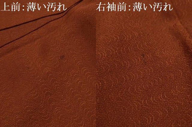 平和屋着物■豪華色留袖　霞取り花文　金銀彩　正絹　逸品　AABK5837sx