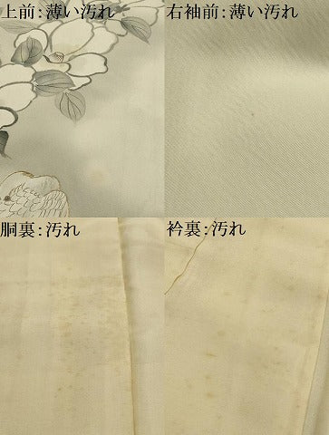 平和屋着物■訪問着　刺繍　手描き　花鳥文　暈し染め　金糸　金彩　正絹　逸品　AABK5858sx