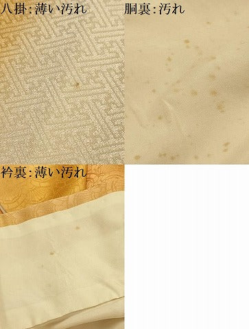 平和屋着物■上質な小紋　青海波地紋　暈し染め　正絹　逸品　AABK5923sx