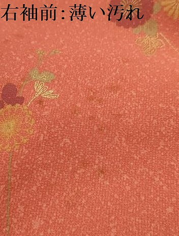 平和屋着物■上質な小紋　花蝶文　金彩　正絹　逸品　AABK5953sx