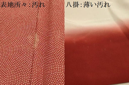 平和屋着物■江戸小紋　鮫小紋柄　正絹　逸品　AABK5987sx